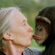 Fallece Jane Goodall, la reconocida conservacionista e investigadora de chimpancés