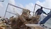 Foto ilustrativa de la nota titulada: Funcionarios de “Bienestar animal” son captados arrojando cadáveres de perros y gatos (Video)