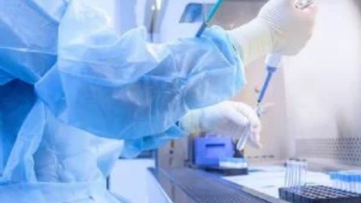 México no ha enviado informes a la OMS sobre resistencia a antibióticos comunes, advierte informe