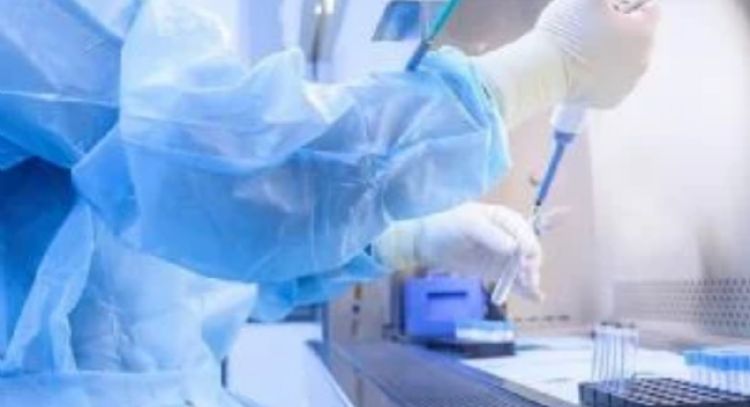 México no ha enviado informes a la OMS sobre resistencia a antibióticos comunes, advierte informe