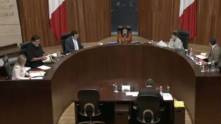 Tribunal Electoral revoca castigo a un analista por violencia política de género