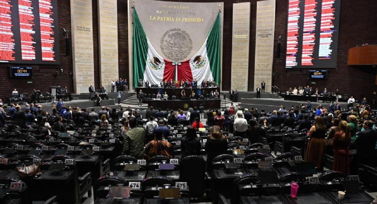 Ley de (des)Amparo y tecnología, qué hacer