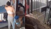 Foto ilustrativa de la nota titulada: Internas transmiten en vivo desde penal de Tijuana; gobierno separa al director (Video)
