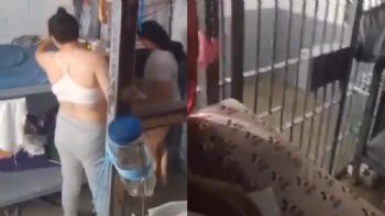 Internas transmiten en vivo desde penal de Tijuana; gobierno separa al director (Video)