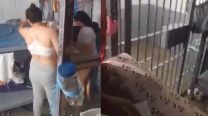 Internas transmiten en vivo desde penal de Tijuana; gobierno separa al director (Video)