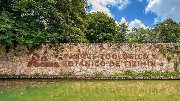 Profepa clausura zoológico La Reina de Tizimín en Yucatán por falta de trato digno a animales