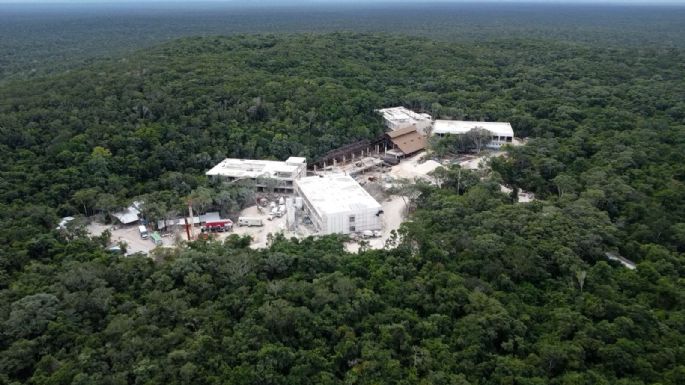Hotel Militar del Tren Maya en Reserva de Calakmul disminuyó en 88% la presencia del jaguar