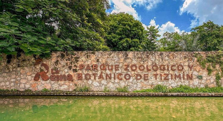 Profepa clausura zoológico La Reina de Tizimín en Yucatán por falta de trato digno a animales
