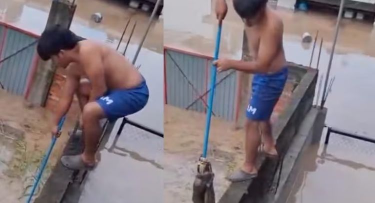 Niño salva a un gato de las inundaciones en Poza Rica, Veracruz (Video)