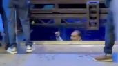 Foto ilustrativa de la nota titulada: Max Cortázar cae en una pileta de agua en el acto de relanzamiento del PAN (Videos)