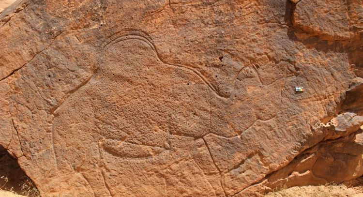 Científicos encuentran grabados rupestres de animales a tamaño natural en desierto de Arabia Saudita