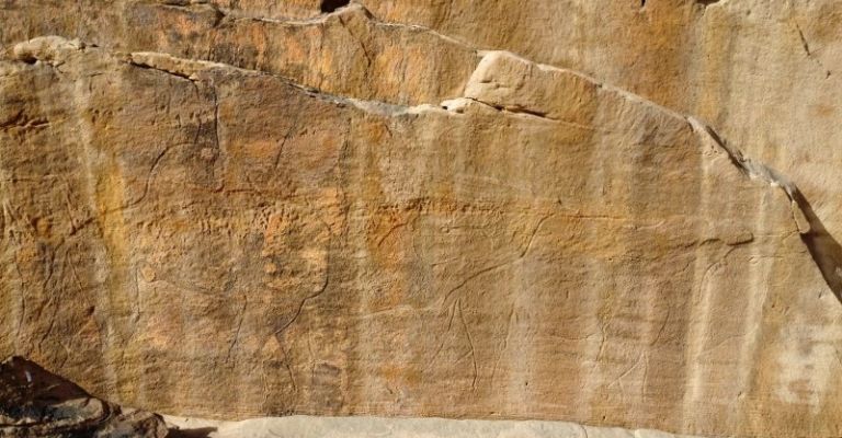 Esta imagen, proporcionada por el Proyecto de Arte Rupestre y Arqueología de Sahout, muestra grabados de camellos sobre una roca, en un desierto del norte de Arabia Saudita en 2023. (Maria Guagnin/Proyecto de Arte Rupestre y Arqueología de Sahout vía AP)