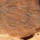 Científicos encuentran grabados rupestres de animales a tamaño natural en desierto de Arabia Saudita