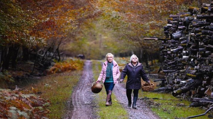Tour Francés: “Cuando llega el otoño”