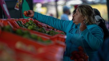 En ocho meses y con Sheinbaum, la economía mexicana muestra su menor crecimiento desde la pandemia