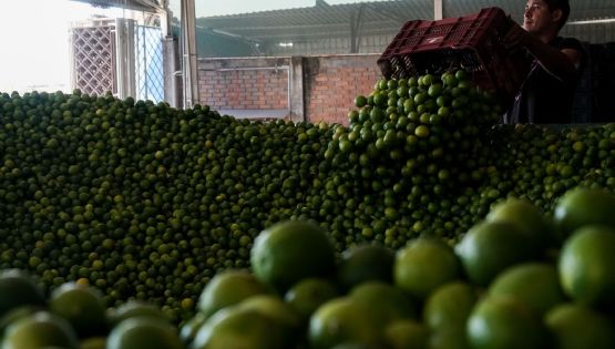 El crimen entronizado en Michoacán... y en el país