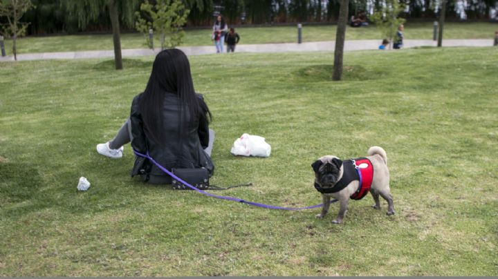 CDMX prohíbe negar renta o compra de inmuebles a personas con menores de edad o mascotas