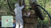 Foto ilustrativa de la nota titulada: Desmantelan tercer narcolaboratorio en territorio de Los Mayos en Durango