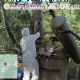 Desmantelan tercer narcolaboratorio en territorio de Los Mayos en Durango