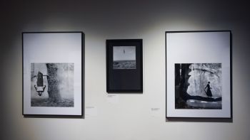 Los sueños fotográficos de Rodney Smith en el Franz Mayer