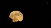 Foto ilustrativa de la nota titulada: La primera superluna del año se acerca: lo que hay que saber