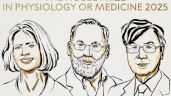 Foto ilustrativa de la nota titulada: Brankov, Ramstell y Sakaguchi, Nobel de Medicina por descubrimientos en tolerancia inmune periférica