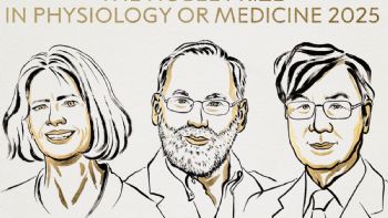 Brankov, Ramstell y Sakaguchi, Nobel de Medicina por descubrimientos en tolerancia inmune periférica
