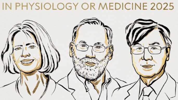 Brankov, Ramstell y Sakaguchi, Nobel de Medicina por descubrimientos en tolerancia inmune periférica