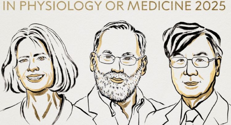 Brankov, Ramstell y Sakaguchi, Nobel de Medicina por descubrimientos en tolerancia inmune periférica