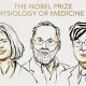 Brankov, Ramstell y Sakaguchi, Nobel de Medicina por descubrimientos en tolerancia inmune periférica