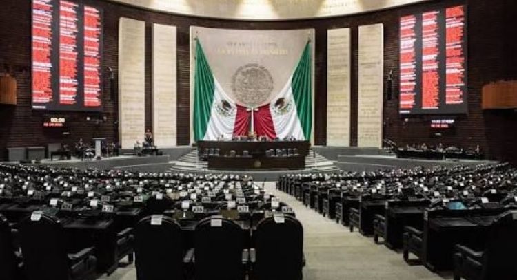 No se requiere una reforma al amparo, sino un cambio del sistema judicial: especialista