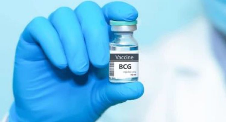 Vacuna para recién nacidos contra tuberculosis ya está disponible tras tres meses de desabasto