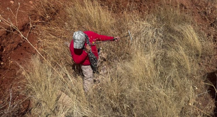 “Ahí me vas a encontrar”, crónica de un día de búsqueda de personas desaparecidas en Guanajuato