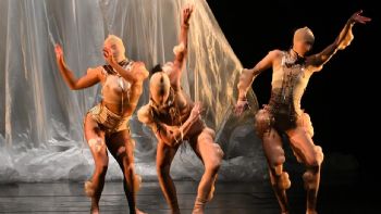 Raúl Tamez, Miranda García y Daniel Luis reciben el Premio Nacional de Danza Guillermo Arriaga 2025