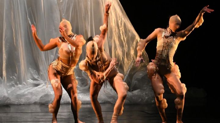 Raúl Tamez, Miranda García y Daniel Luis reciben el Premio Nacional de Danza Guillermo Arriaga 2025