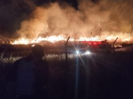 El INAH descarta daños a estructuras arqueológicas por incendio en Teotihuacán (Video)