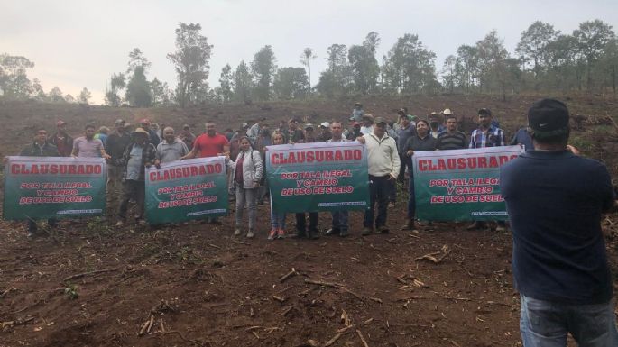 Ahora el narco sentencia a muerte a estos ambientalistas de Michoacán