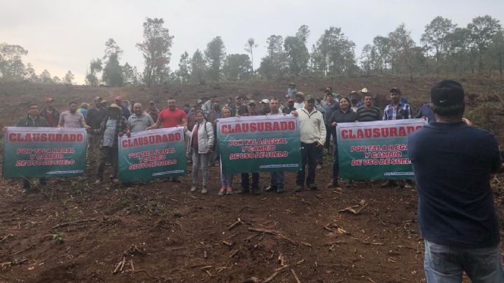 Ahora el narco sentencia a muerte a estos ambientalistas de Michoacán