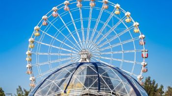 En precierre musical de 2025 se acerca Corona Capital, Flow Fest, Limp Bizkit y Billy Idol…