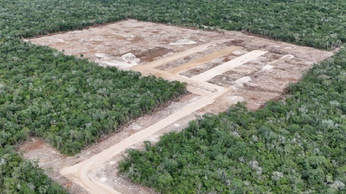 Profepa suspende la construcción de granja avícola en Kinchil, Yucatán