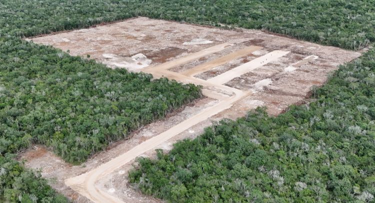 Profepa suspende la construcción de granja avícola en Kinchil, Yucatán
