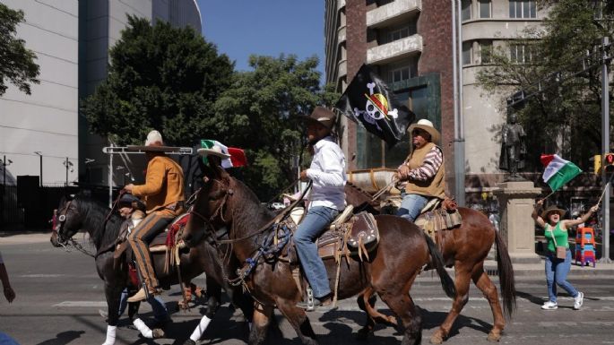 ¿Por qué apareció la bandera de One Piece en la Marcha de la Generación Z?