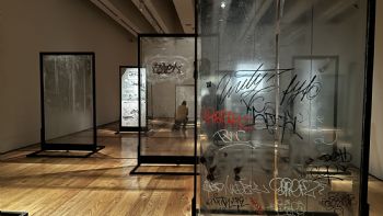 “¿Cómo salimos?”, la exposición de Teresa Margolles con vidrios de balaceras (Video)