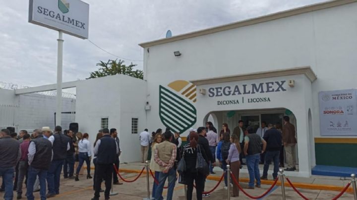 Sales Up: del contrato de pandemia en Segalmex al negocio de los camiones