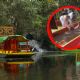 Turista extranjera cae a canal en trajinera de Xochimilco y logran rescatarla a tiempo