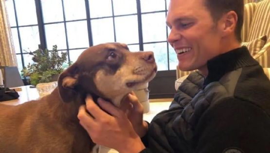 Tom Brady revela que clonó a su perrita Lua, que murió en 2023