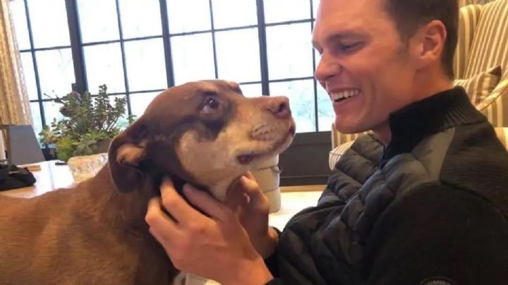 Tom Brady revela que clonó a su perrita Lua, que murió en 2023