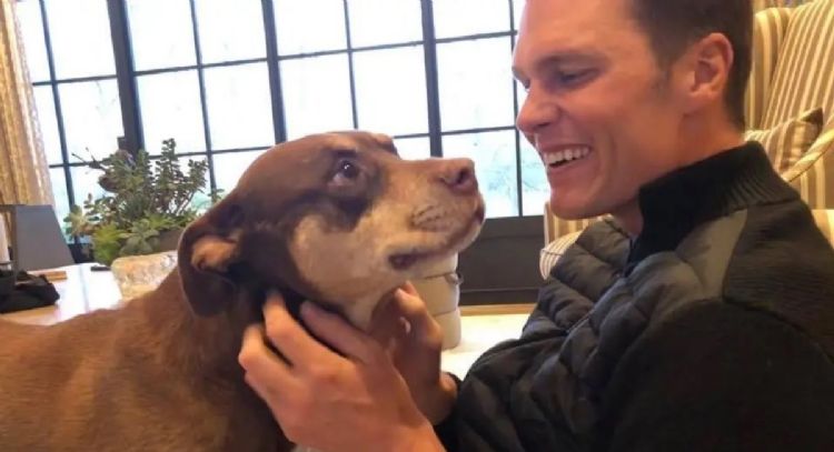 Tom Brady revela que clonó a su perrita Lua, que murió en 2023