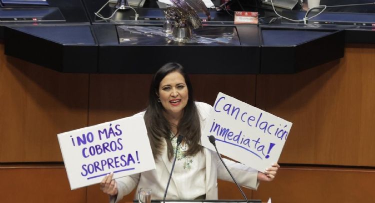 El Senado aprueba en fast track la reforma que regula las suscripciones digitales