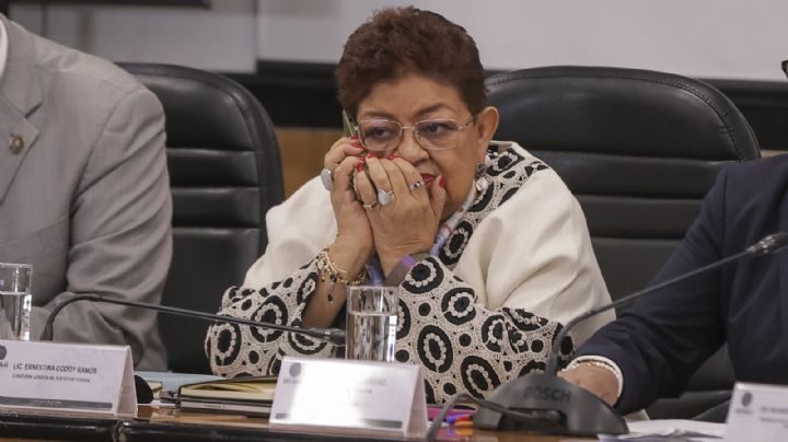 Ernestina Godoy aparece en la lista de 43 aspirantes a la FGR